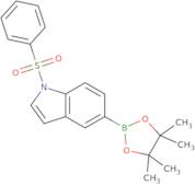 1-(Phenylsulfonyl)indole-5-boronic acid pinacol ester