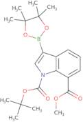 1-BOC-7-methoxycarbonylindole-3-boronic acid pinacol ester