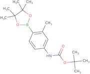4-(Boc-Amino)-2-methylphenylboronic acid pinacol ester