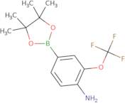 4-Amino-3-(trifluoromethoxy)phenylboronic acid pinacol ester