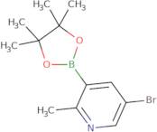 5-Bromo-2-methylpyridine-3-boronic acid, pinacol ester