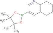 5,6,7,8-Tetrahydroquinoline-3-boronic acid pinacol ester