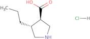 rac-(3R,4R)-4-Propylpyrrolidine-3-carboxylic acid hydrochloride