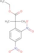 Ethyl 2-(2,4-dinitrophenyl)-2-methylpropanoate