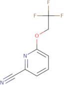 6-(2,2,2-Trifluoroethoxy)pyridine-2-carbonitrile