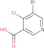 5-Bromo-4-chloronicotinic acid