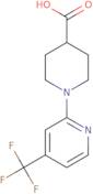 1-[4-(Trifluoromethyl)pyridin-2-yl]piperidine-4-carboxylic acid