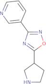 3-(5-Pyrrolidin-3-yl-1,2,4-oxadiazol-3-yl)pyridine