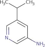 5-(Propan-2-yl)pyridin-3-amine