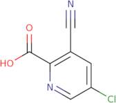 5-Chloro-3-cyanopyridine-2-carboxylic acid