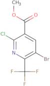 Methyl 5-bromo-2-chloro-6-(trifluoromethyl)pyridine-3-carboxylate