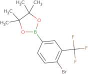 4-Bromo-3-(trifluoromethyl)phenylboronic acid pinacol ester