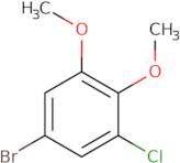 5-Bromo-1-chloro-2,3-dimethoxybenzene