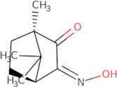 anti-(1R)-(+)-Camphorquinone 3-Oxime
