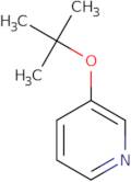 3-(tert-Butoxy)pyridine