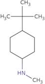 4-tert-Butyl-N-methylcyclohexan-1-amine