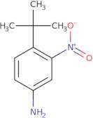 4-tert-Butyl-3-nitroaniline