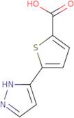 5-(1H-Pyrazol-3-yl)thiophene-2-carboxylic acid