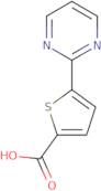 5-(Pyrimidin-2-yl)thiophene-2-carboxylic acid