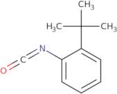 2-(tert-Butyl)phenyl isocyanate