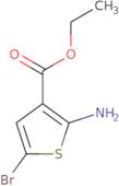 ethyl 2-amino-5-bromothiophene-3-carboxylate