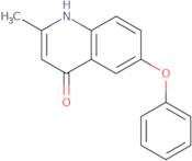 2-Methyl-6-phenoxyquinolin-4-ol