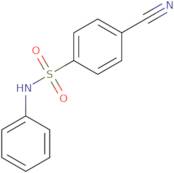 4-Cyano-N-phenylbenzene-1-sulfonamide