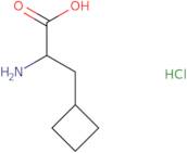 2-Amino-3-cyclobutylpropanoic acid hydrochloride