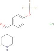 4-(4-Trifluoromethoxybenzoyl)-Piperidine Hydrochloride