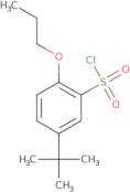 5-tert-Butyl-2-propoxybenzenesulfonyl chloride