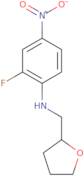 2-Fluoro-4-nitro-N-(oxolan-2-ylmethyl)aniline