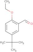 5-(tert-Butyl)-2-ethoxybenzaldehyde