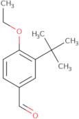 3-(tert-Butyl)-4-ethoxybenzaldehyde