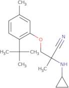 3-(2-tert-Butyl-5-methylphenoxy)-2-(cyclopropylamino)-2-methylpropanenitrile
