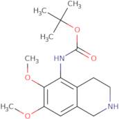 tert-Butyl N-(6,7-dimethoxy-1,2,3,4-tetrahydroisoquinolin-5-yl)carbamate