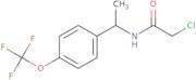 2-Chloro-N-{1-[4-(trifluoromethoxy)phenyl]ethyl}acetamide