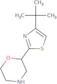 2-(4-tert-Butyl-1,3-thiazol-2-yl)morpholine