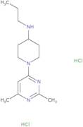 1-(2,6-Dimethylpyrimidin-4-yl)-N-propylpiperidin-4-amine dihydrochloride