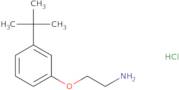 1-(2-Aminoethoxy)-3-tert-butylbenzene hydrochloride