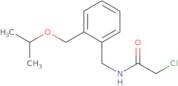 2-Chloro-N-({2-[(propan-2-yloxy)methyl]phenyl}methyl)acetamide