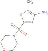 2-Methyl-5-(morpholine-4-sulfonyl)thiophen-3-amine