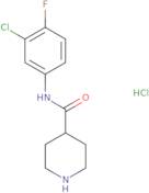 N-(3-Chloro-4-fluorophenyl)piperidine-4-carboxamide hydrochloride