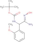 tert-Butyl N-[(N'-hydroxycarbamimidoyl)(2-methoxyphenyl)methyl]carbamate