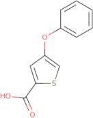 4-Phenoxythiophene-2-carboxylic acid