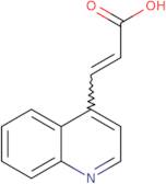 3-(Quinolin-4-yl)prop-2-enoic acid