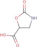 (5S)-2-Oxo-1,3-oxazolidine-5-carboxylic acid
