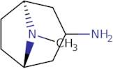 exo-8-Methyl-azabicyclo[3.2.1]octan-3-amine