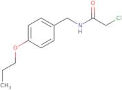 2-Chloro-N-[(4-propoxyphenyl)methyl]acetamide