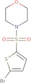 4-[(5-Bromothiophen-2-yl)sulfonyl]morpholine