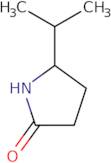 5-(Propan-2-yl)pyrrolidin-2-one